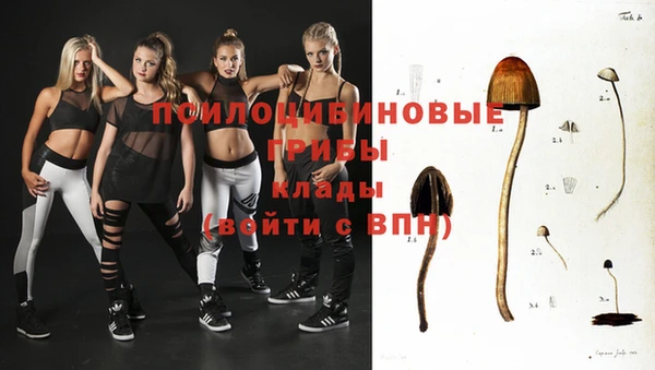 мдпв Беломорск