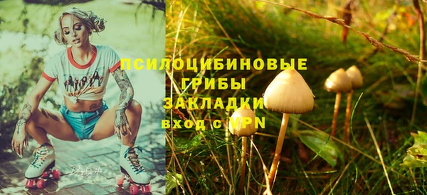 молекула духа Белоозёрский