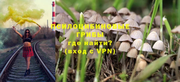 стаф Киренск