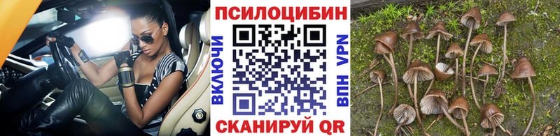 где найти наркотики  blacksprut   Псилоцибиновые грибы ЛСД  Краснокамск 